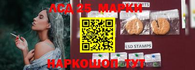 прущие крисы Аргун