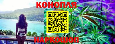 прущие крисы Аргун
