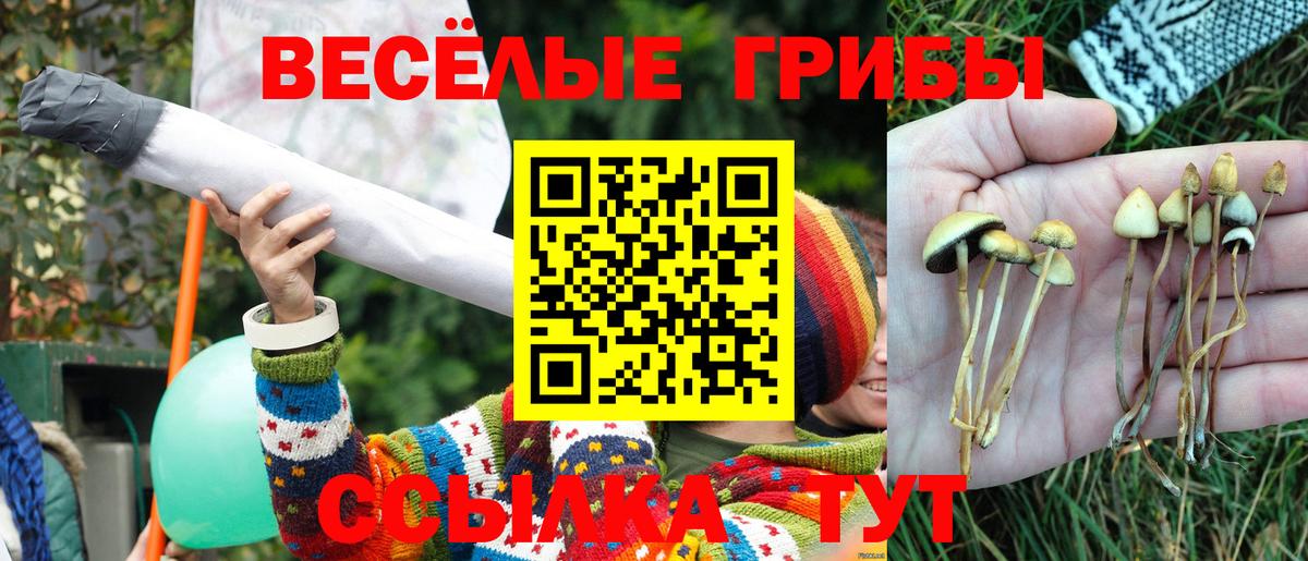 Псилоцибиновые грибы GOLDEN TEACHER Балабаново