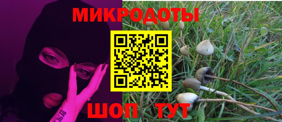 Псилоцибиновые грибы Magic Shrooms Балабаново