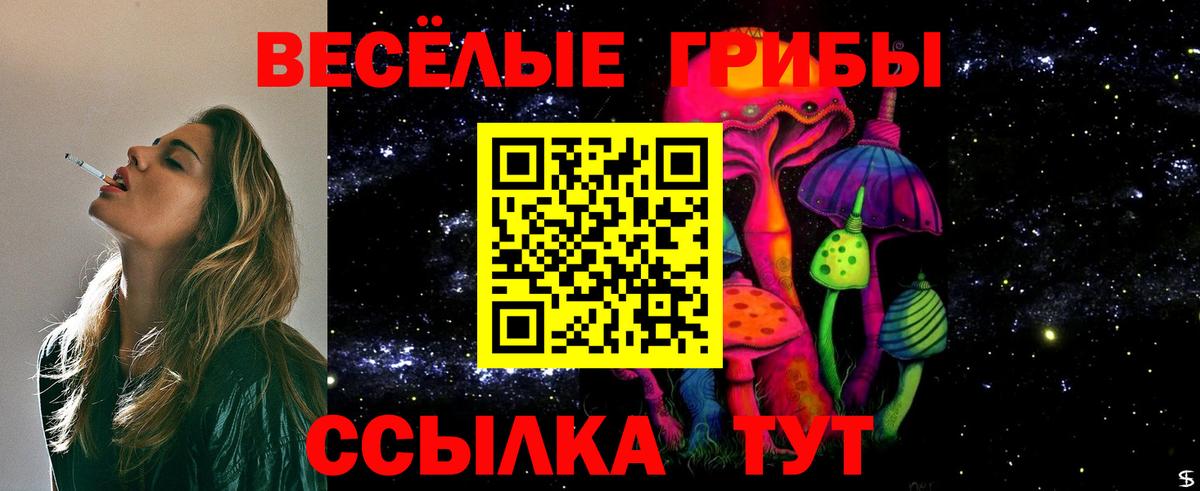 Псилоцибиновые грибы Psilocybine cubensis  Вход с VPN  Псилоцибиновые грибы мицелий  Балабаново 
