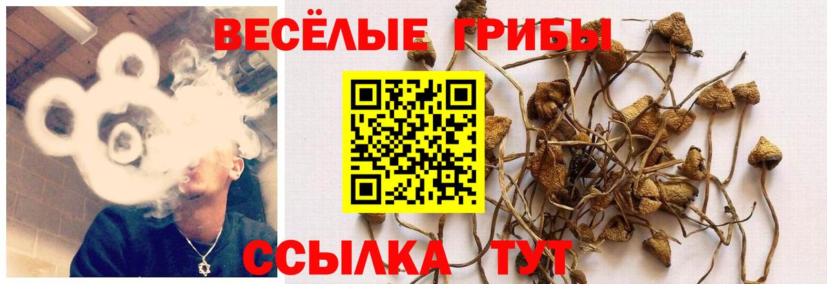 A PVP Балабаново