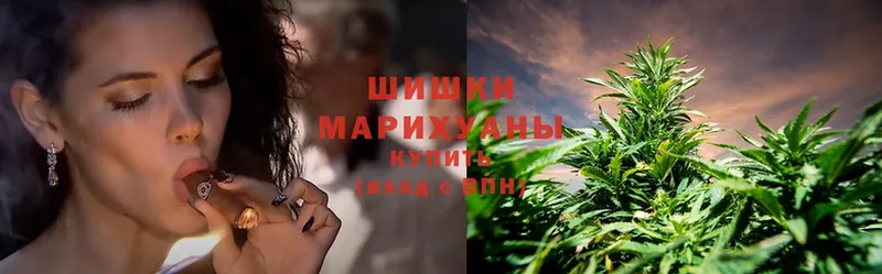 Конопля SATIVA & INDICA  Балабаново 